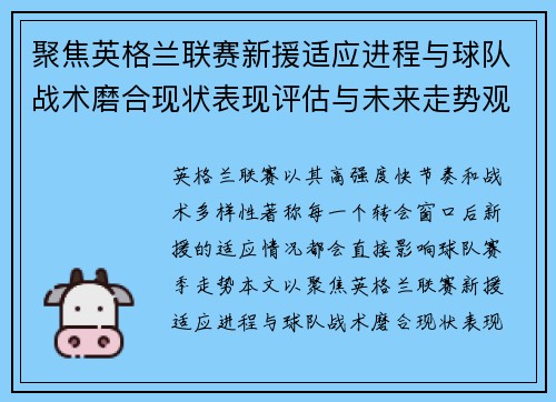 聚焦英格兰联赛新援适应进程与球队战术磨合现状表现评估与未来走势观察